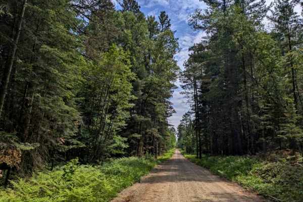 County Road 335