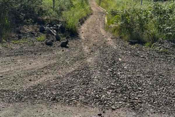 Rock Candy Trail