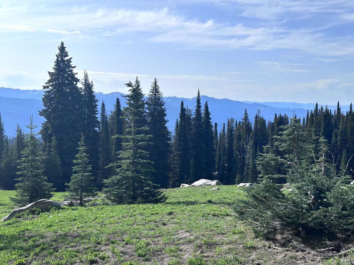 Brundage Outlook Spur photo 6