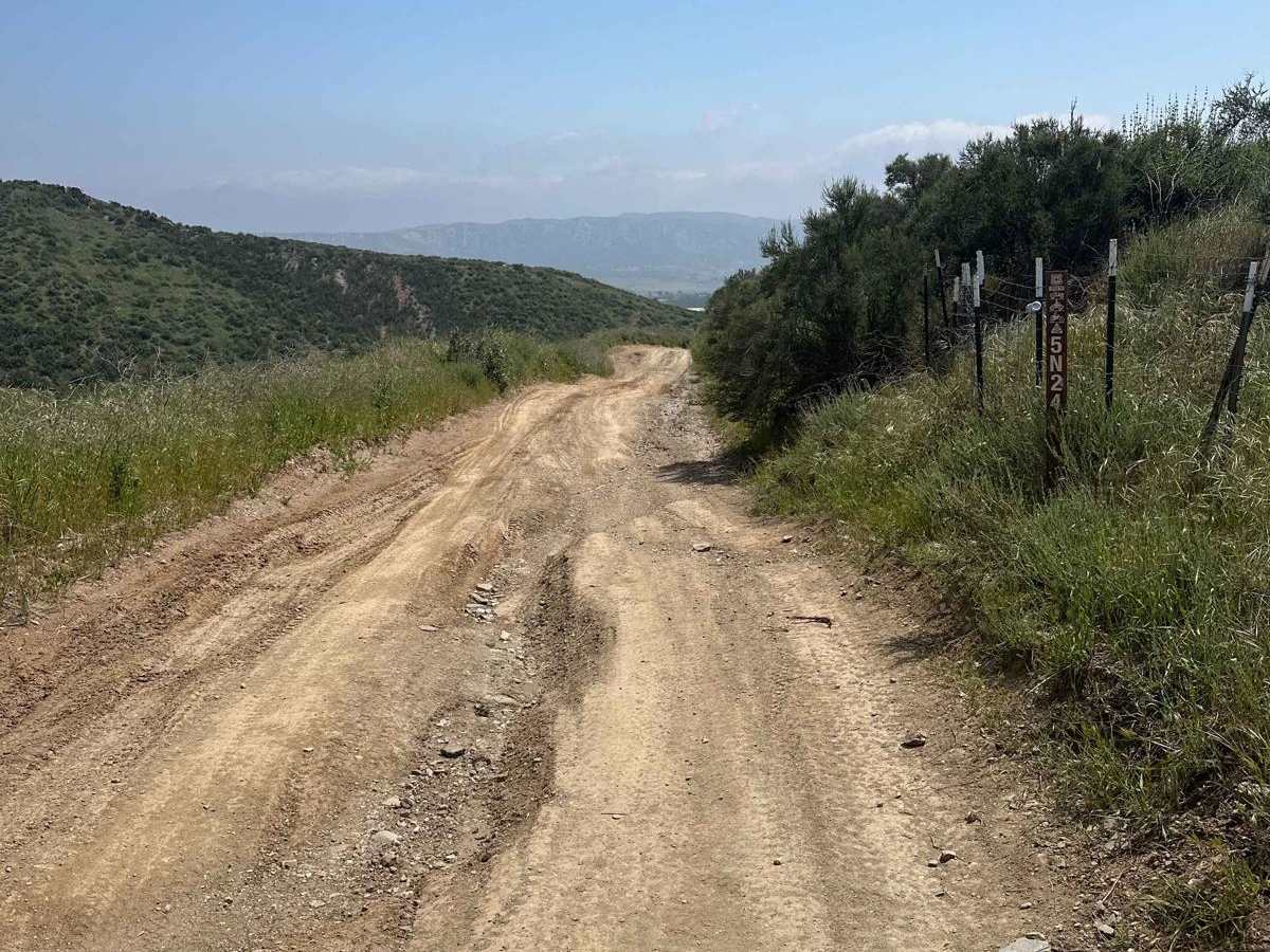 Coarse Gold Road 5N24 photo 5