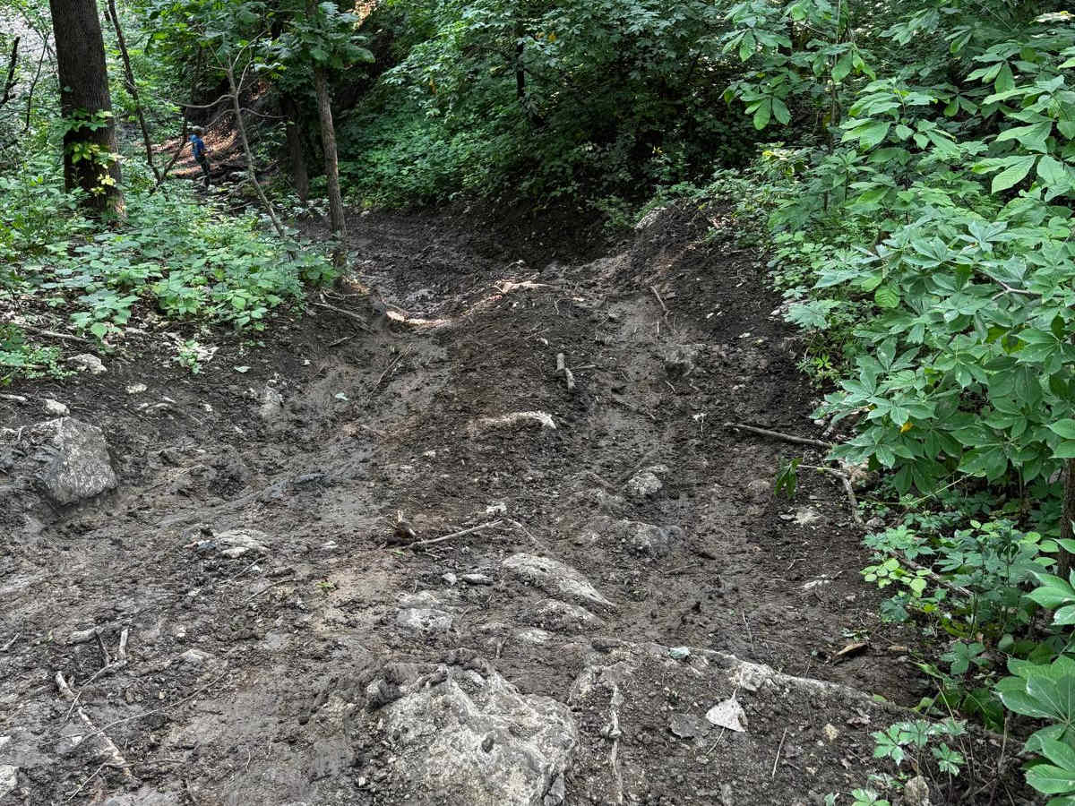 Memphis' Hill 87 photo 5