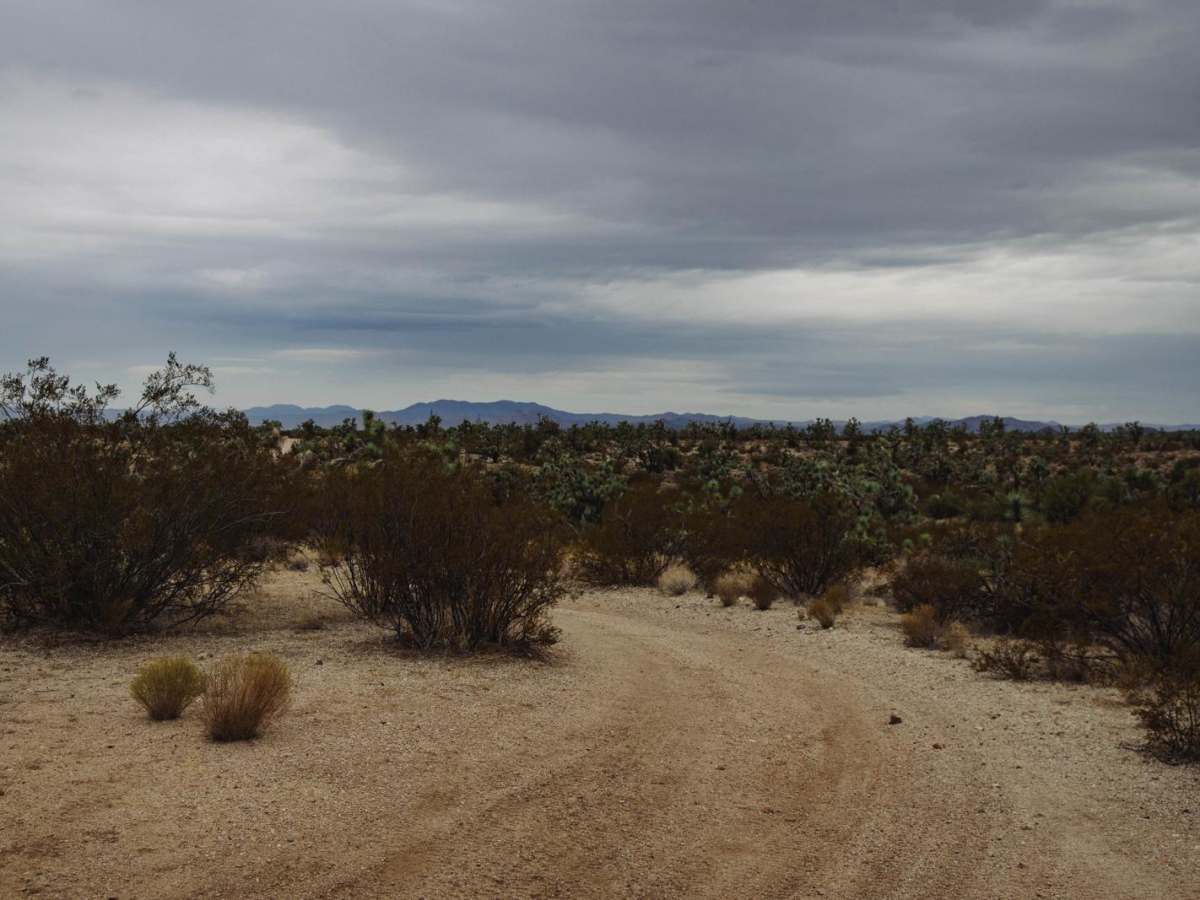 Dates Fool trail photo