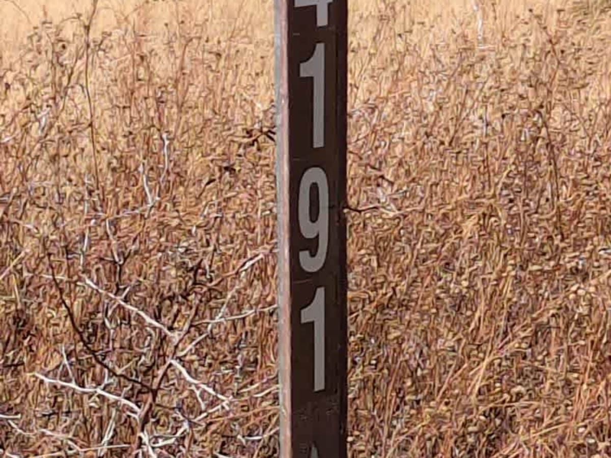 Wise Mesa - FR4151 photo 5