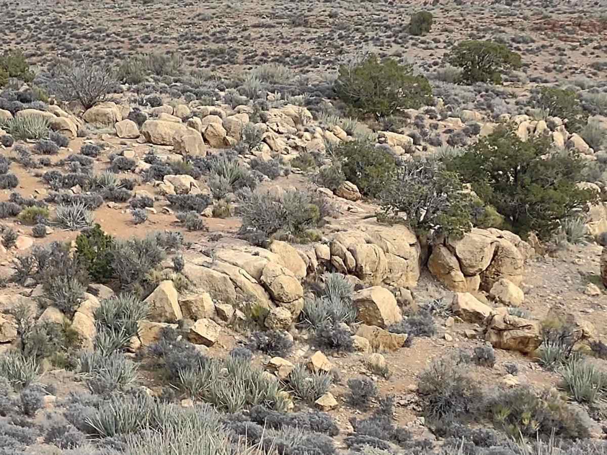 Yucca Way Spur photo 6