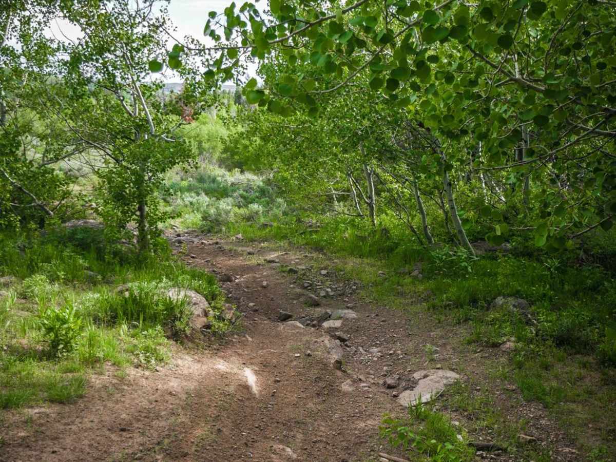 Electric Spring ATV photo 2