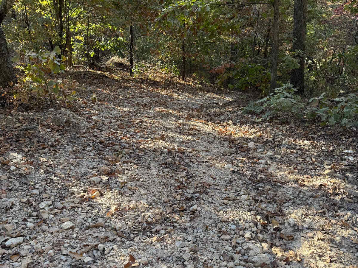 Red 50 trail photo
