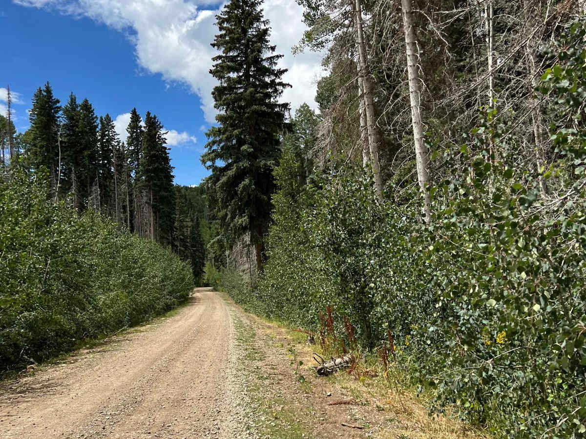 CR 44 Echo Basin Loop photo 5