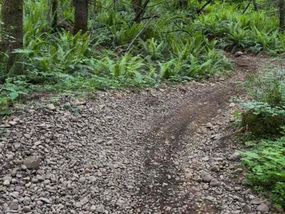 Rock Candy Trail photo 4