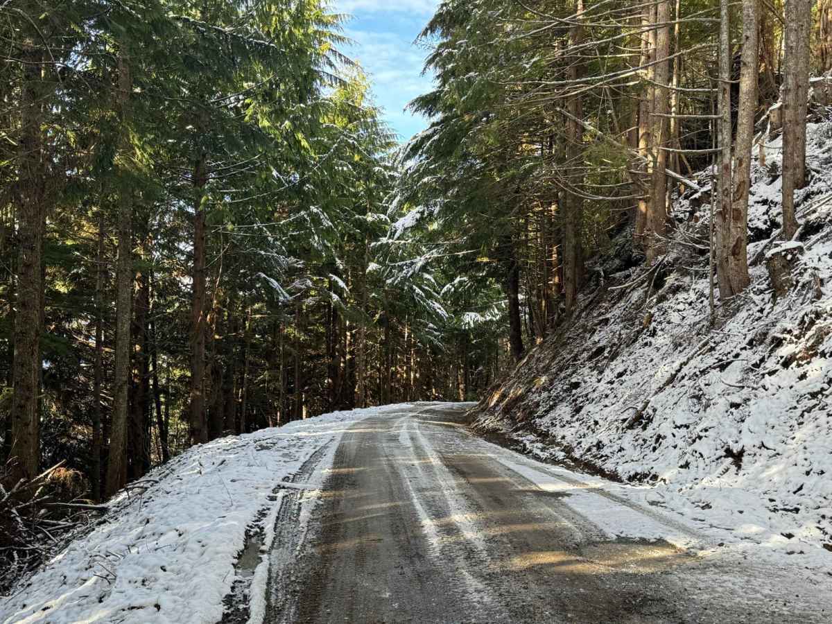 Green Mountain Road/NF-011 photo 5