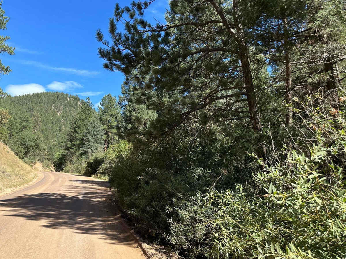 West Pine Creek Road photo 6