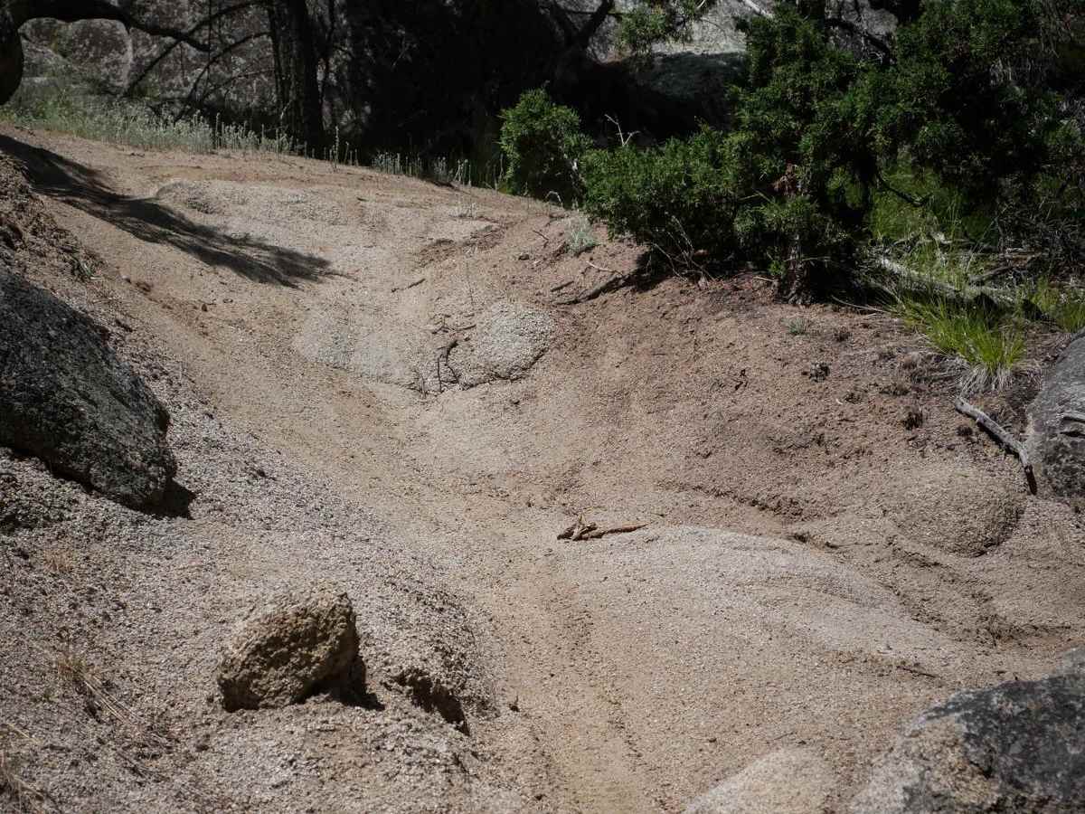 BLM 11 photo 6