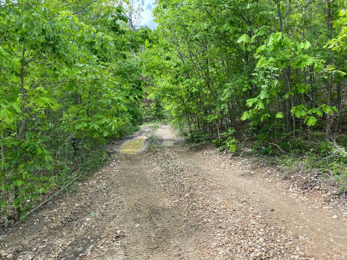 Comanche Hollow photo 3