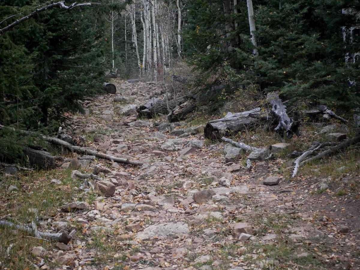 Mule Mountain photo 4