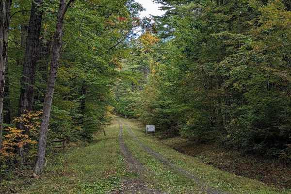 Dennis Road