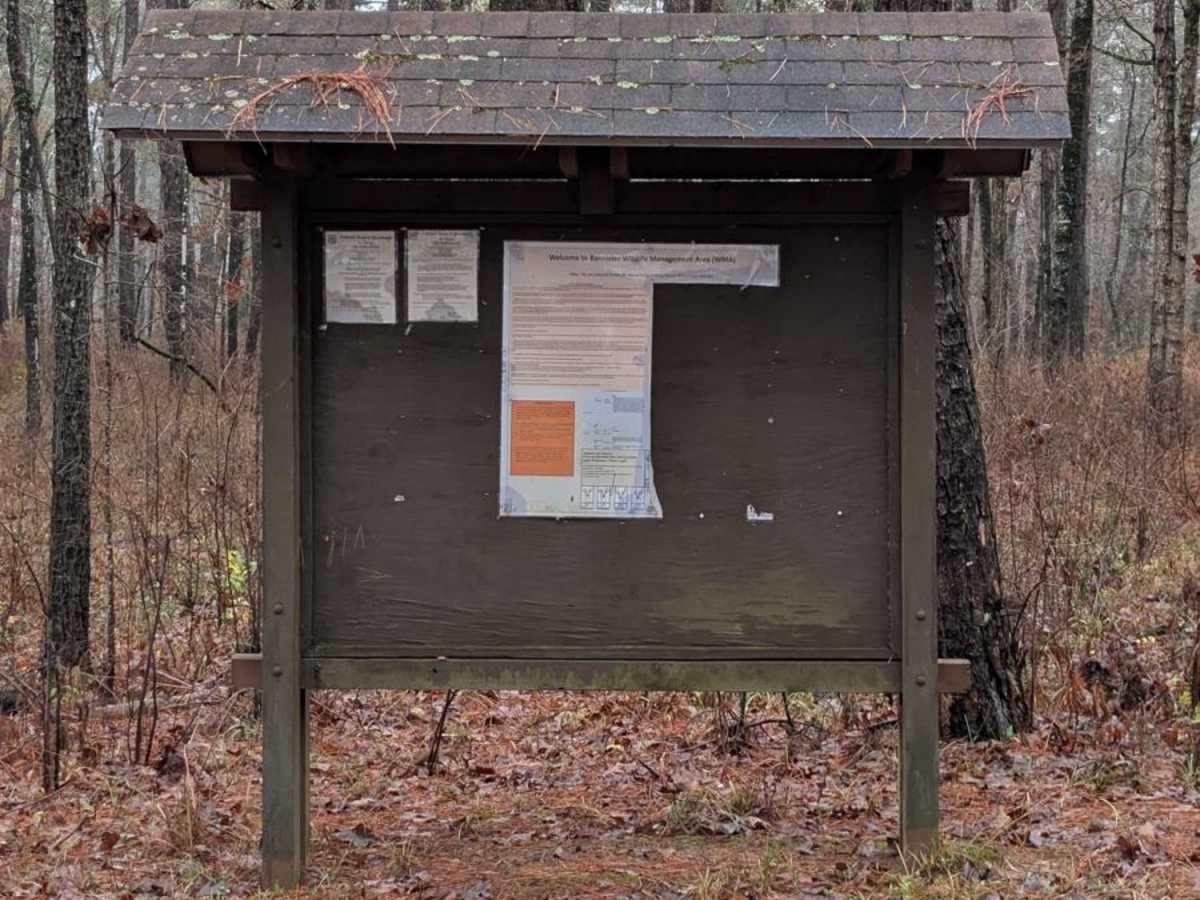 Turkey Hill Wilderness Route photo 3