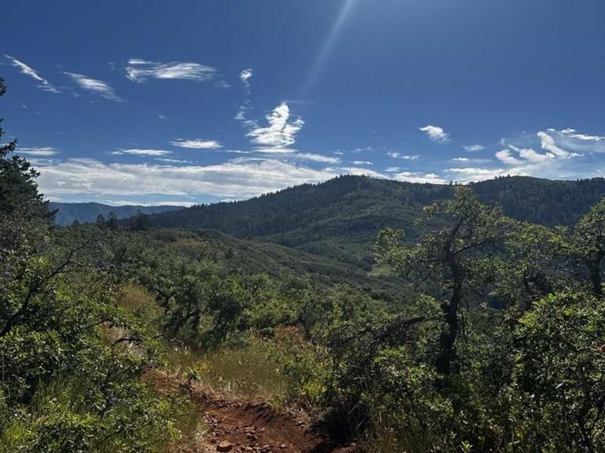 Upper Packard Canyon Trail photo 4