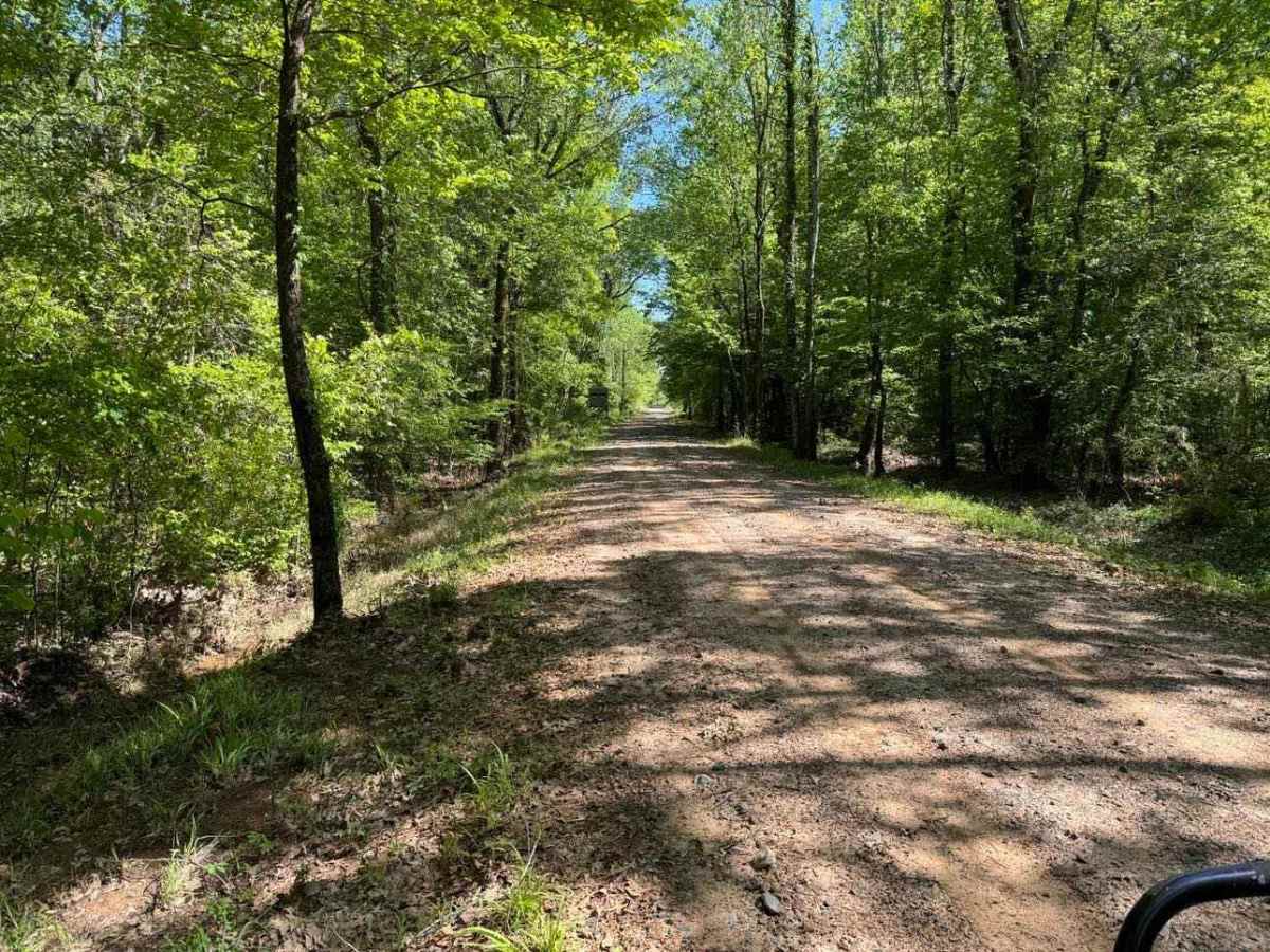 Fox Camp Road trail photo