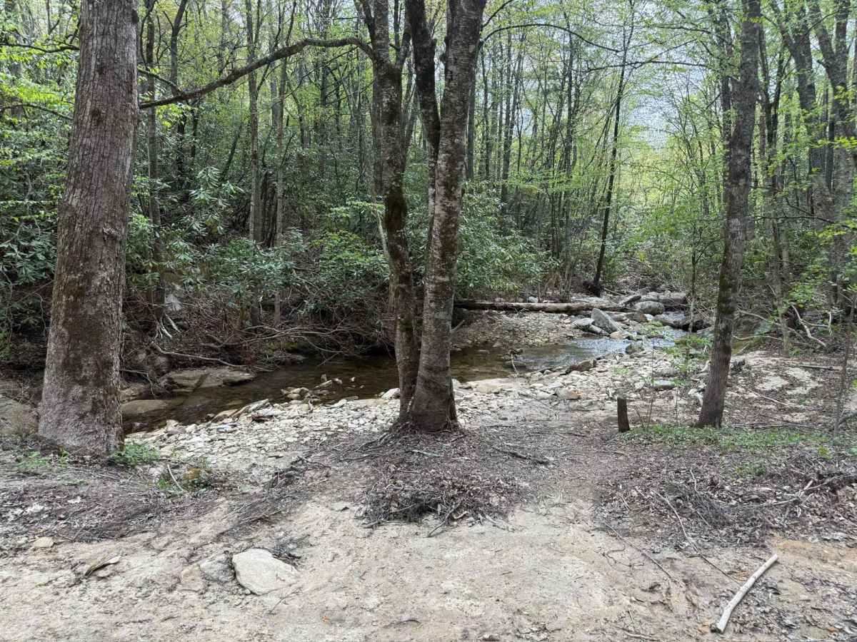 Harper Creek Road - FS 58 photo 4