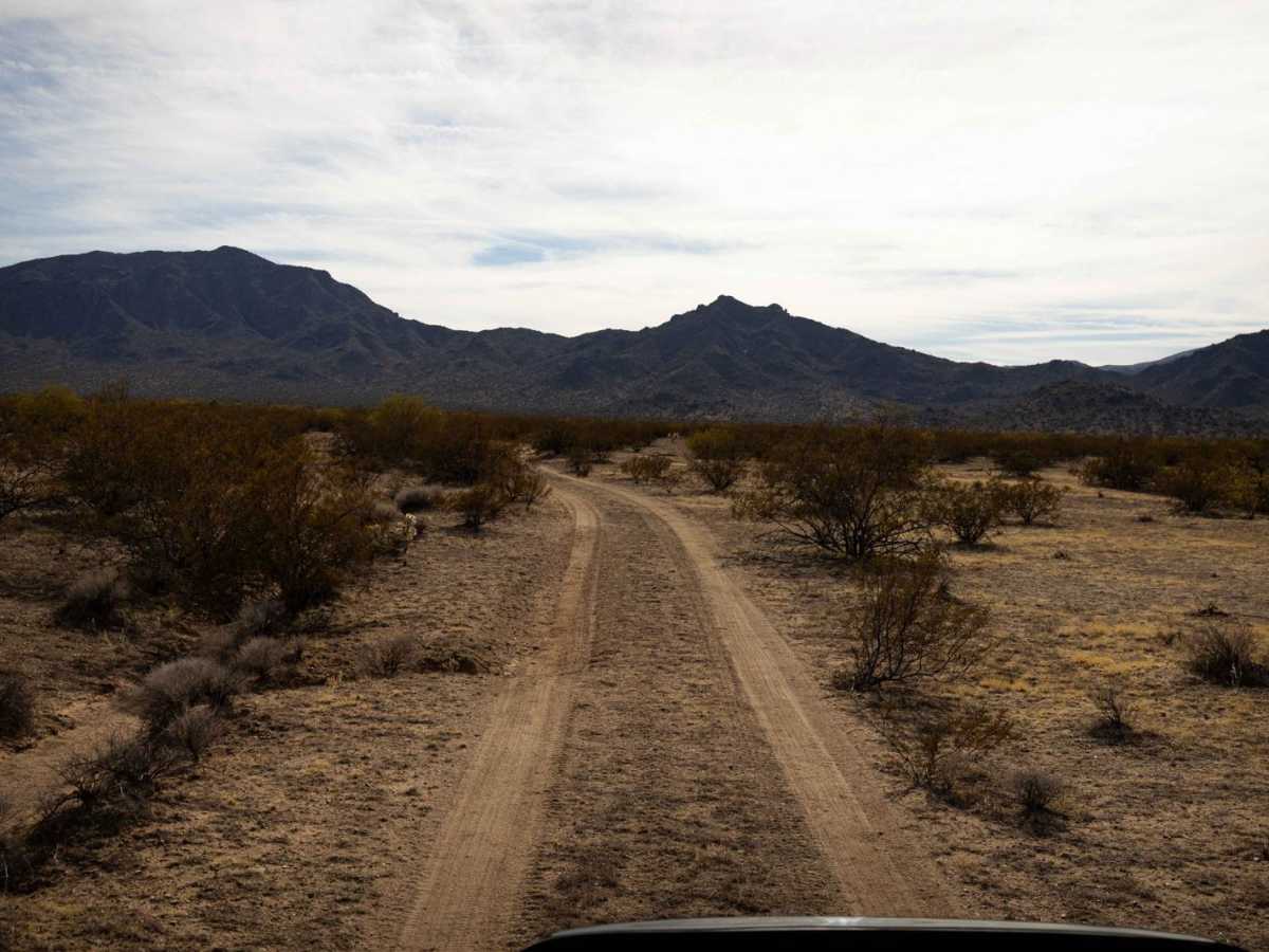 Hidden Camp photo 5