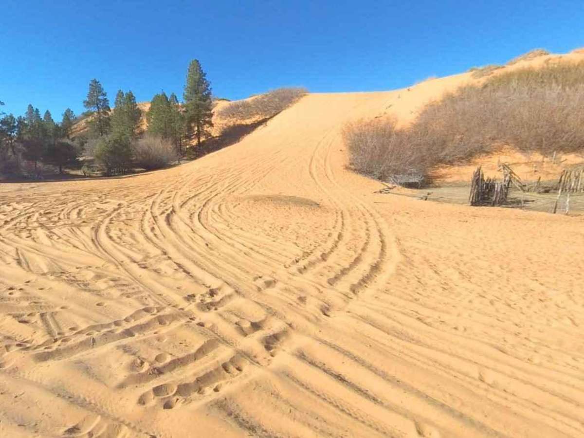 Sand Spring Road (BLM050) photo 5