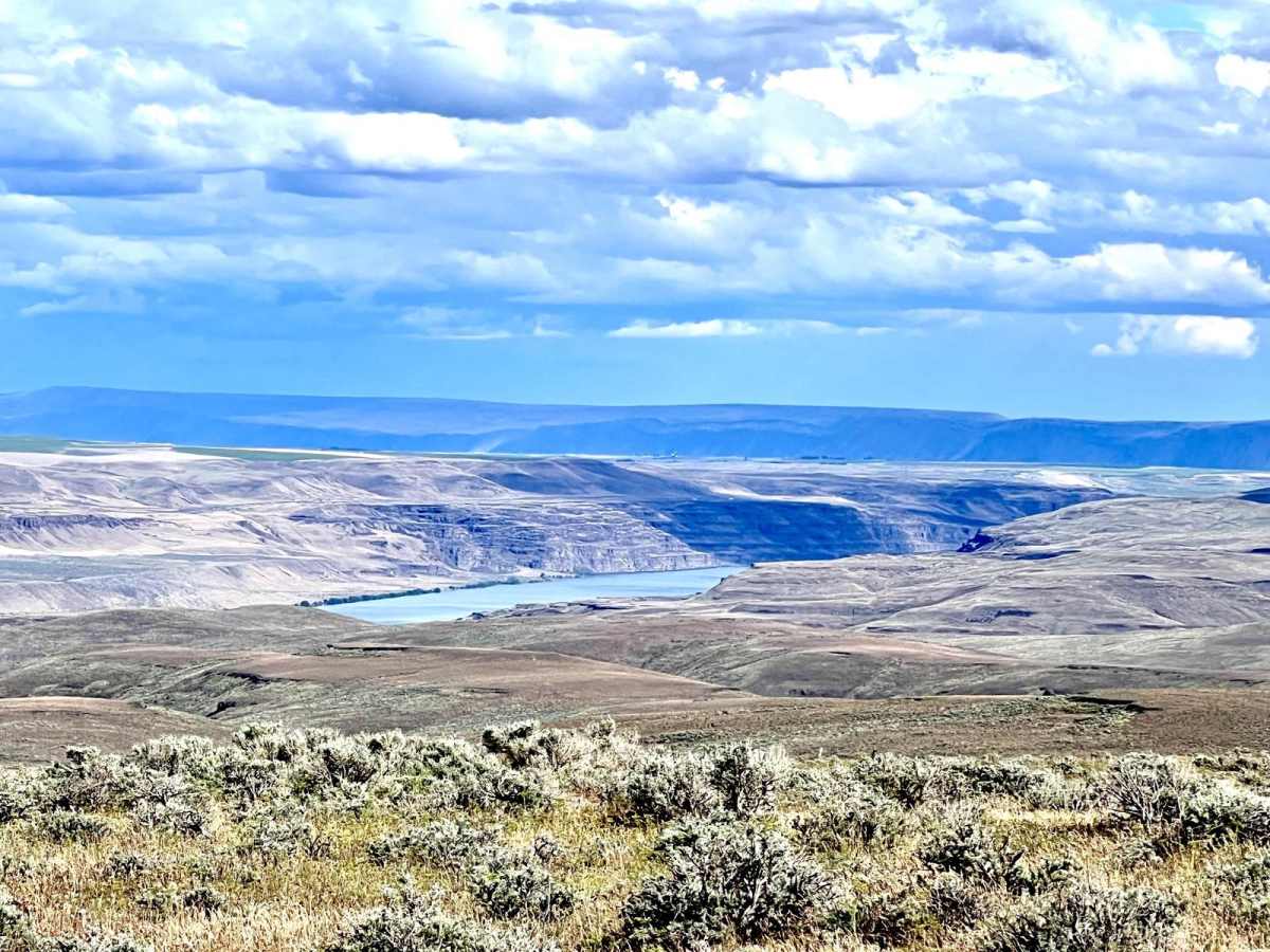 Whiskey Dick Scenic Overlook Trail photo 5