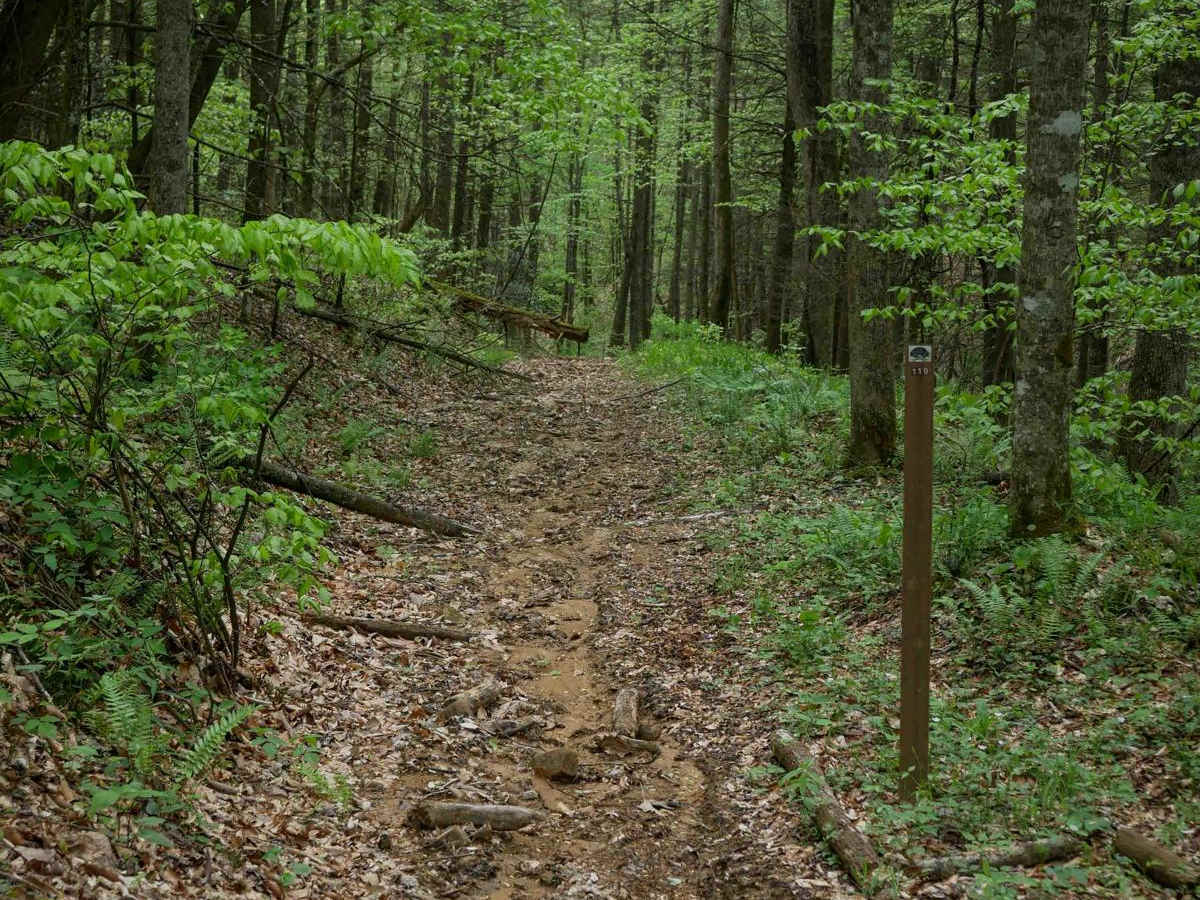 PC 119 trail photo