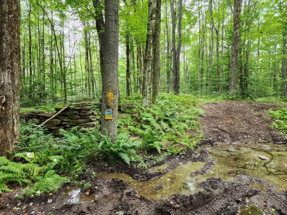 Britton Road trail photo