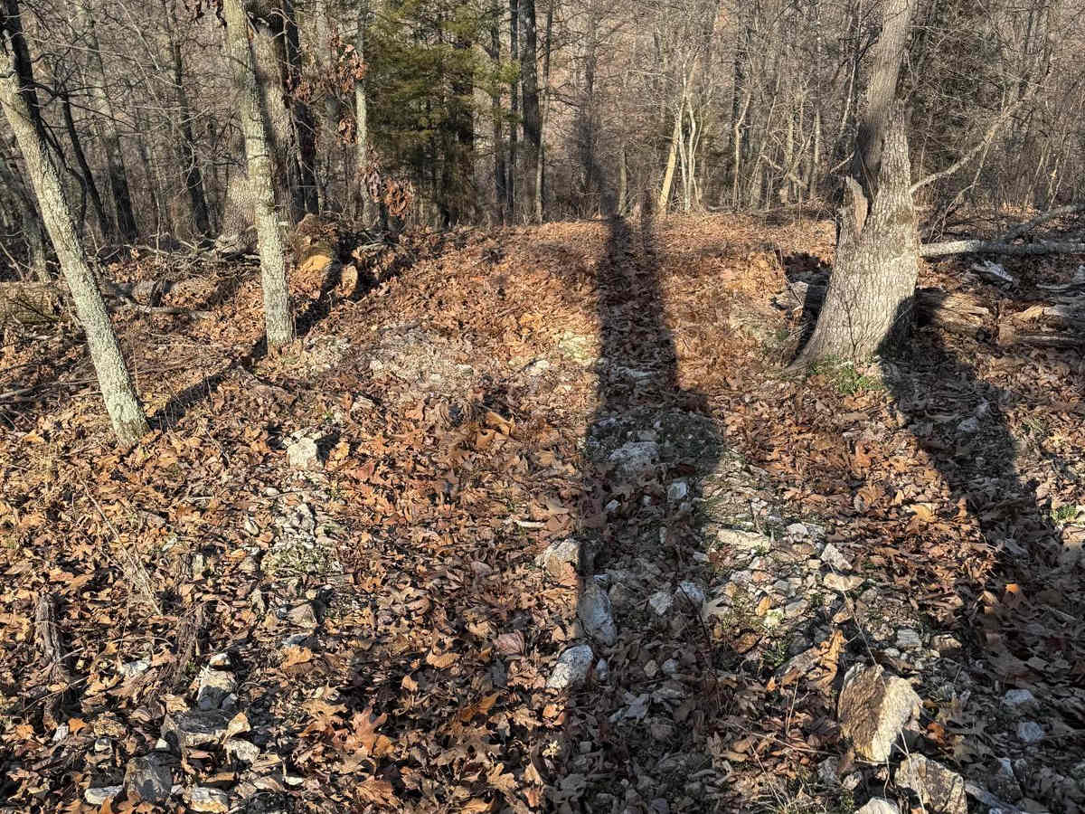Green 411 trail photo