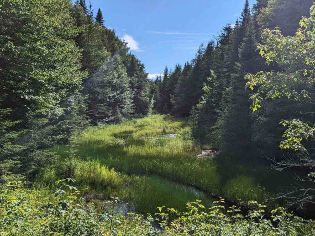 Old Forge Backcountry 1 photo 6