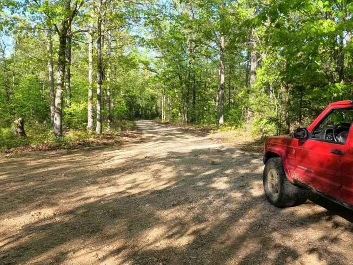 Crane Mountain FSR 2108 photo 5
