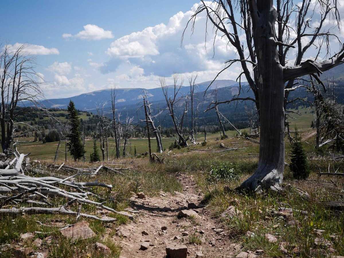 Cabin Creek photo 5