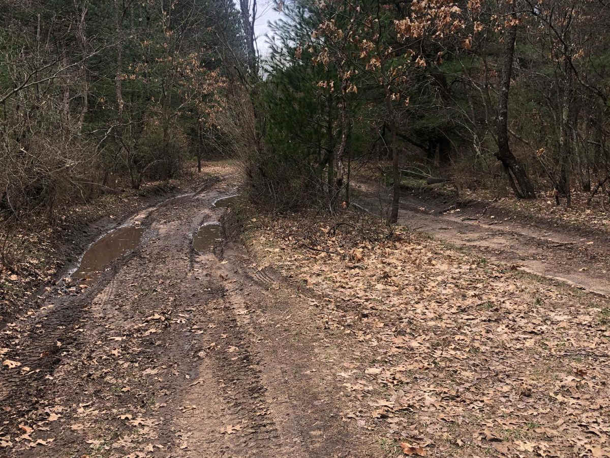 NFS Road 9884 photo 4