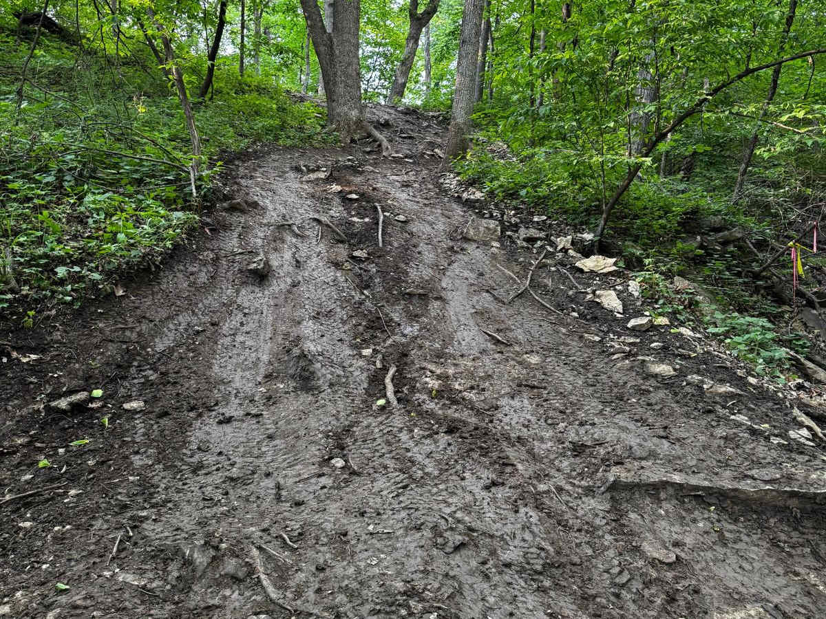 Rattleback 80 photo 6