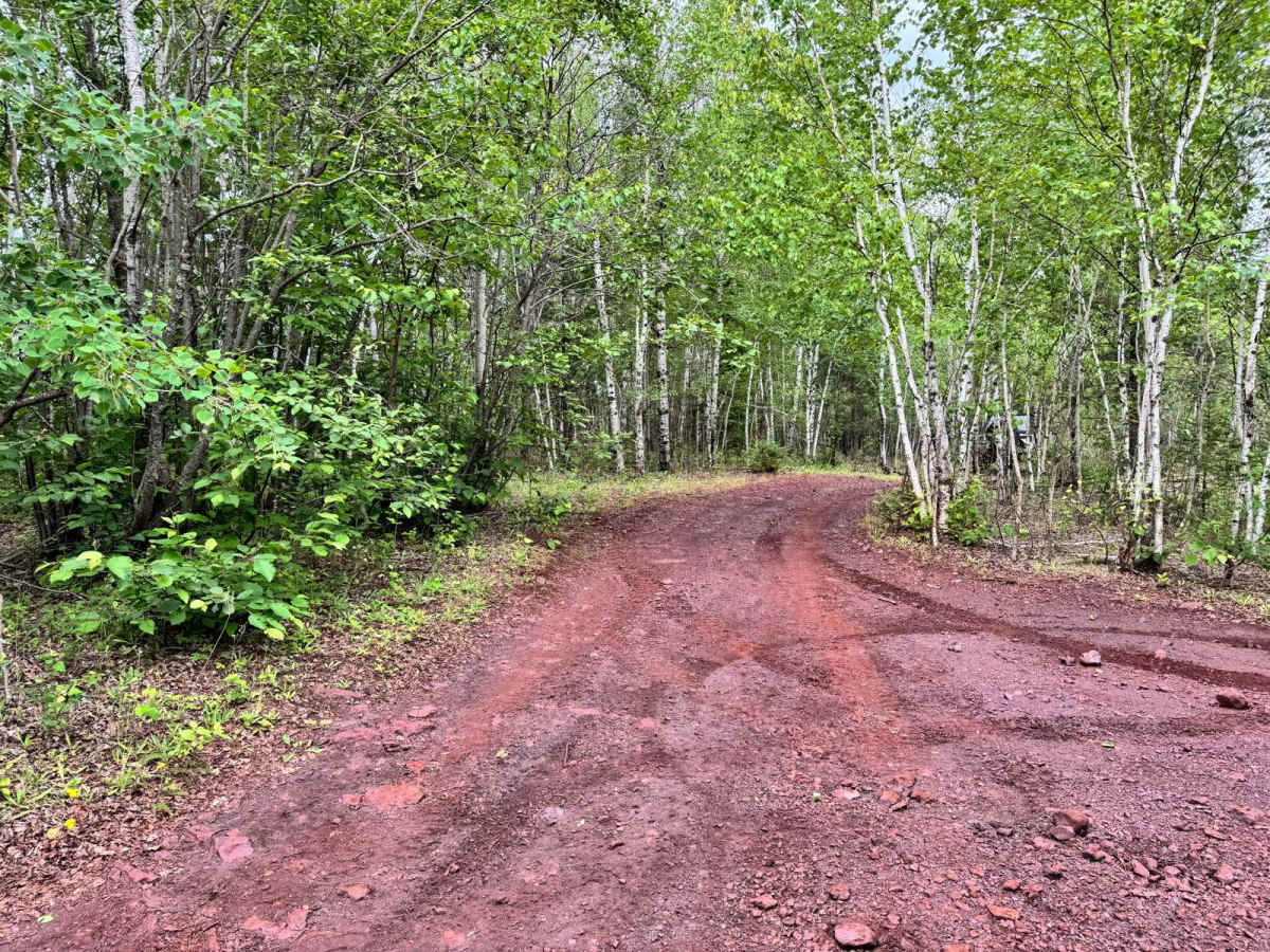 Pinestraw trail photo