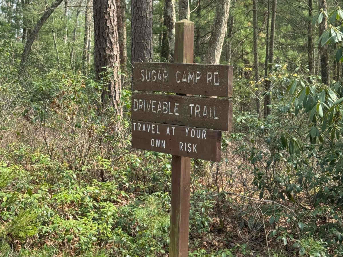 Sugar Camp Road photo 4