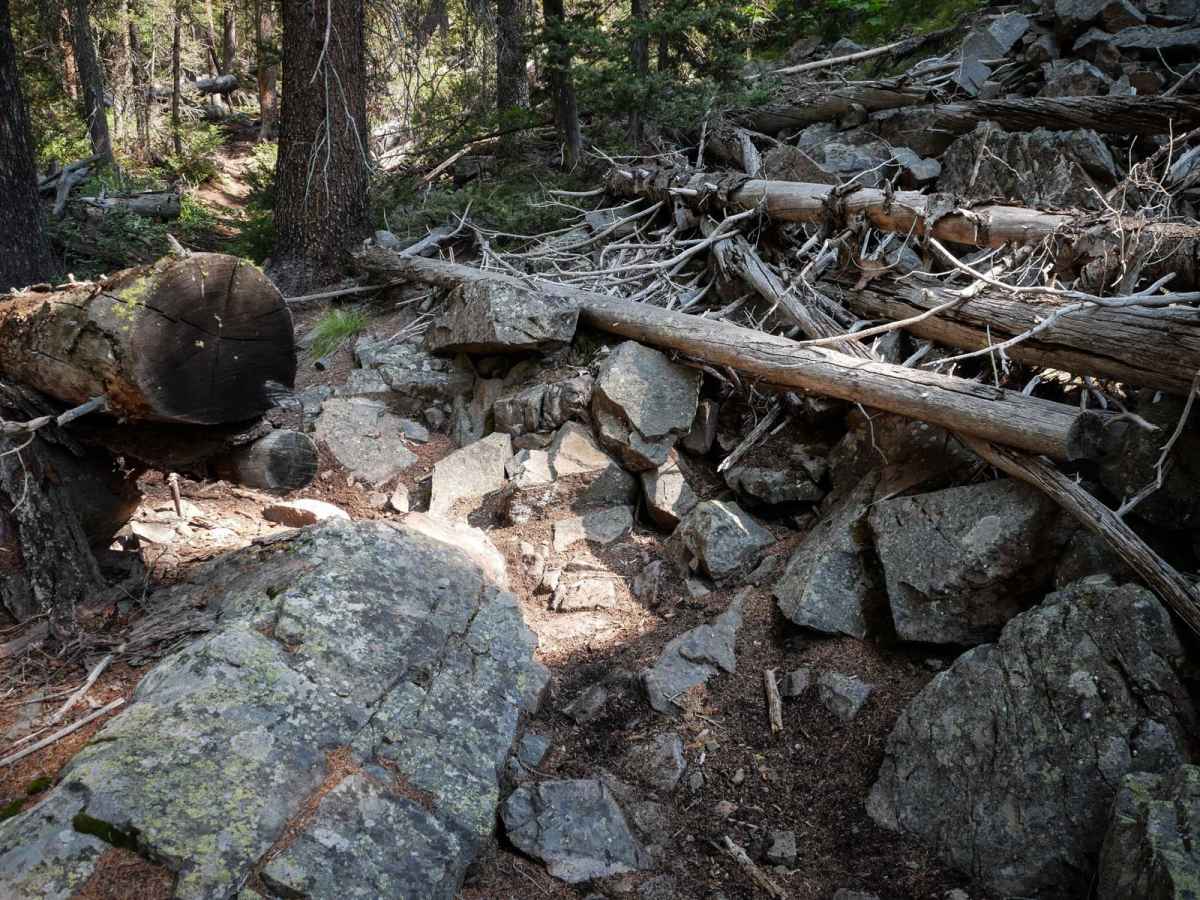 Eleven Mile - Martin Creek photo 3