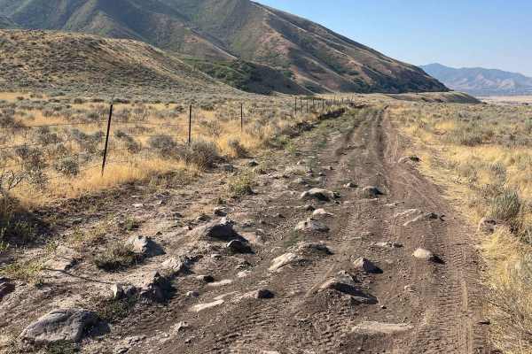 Springs Road Fence Line Trail