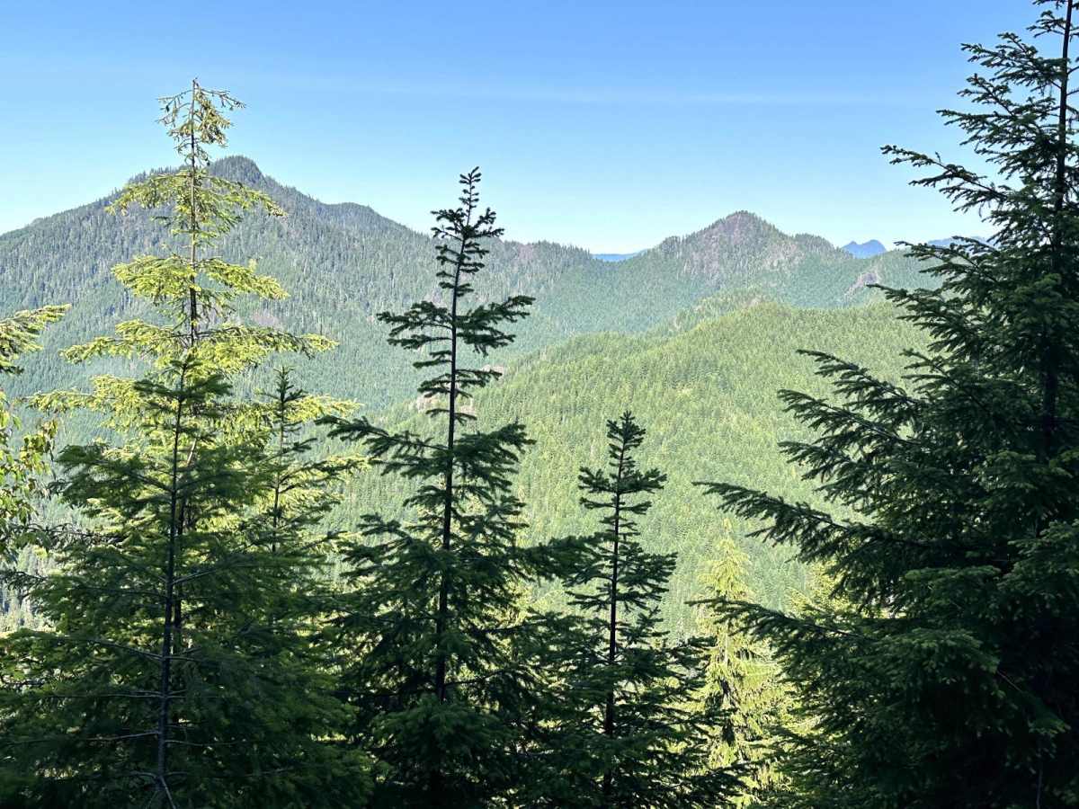 Dusk Point Trail trail photo
