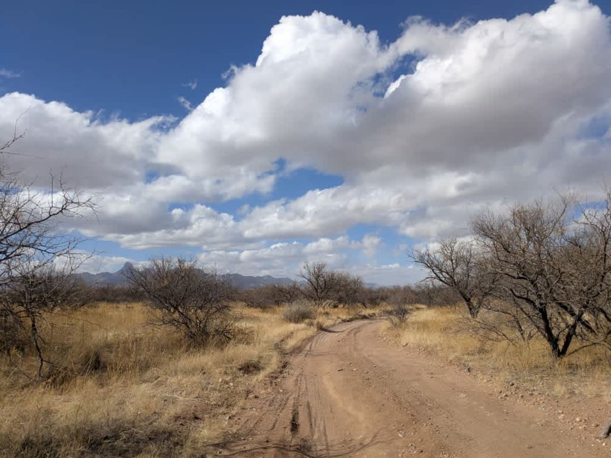 Figeroa North Road trail photo