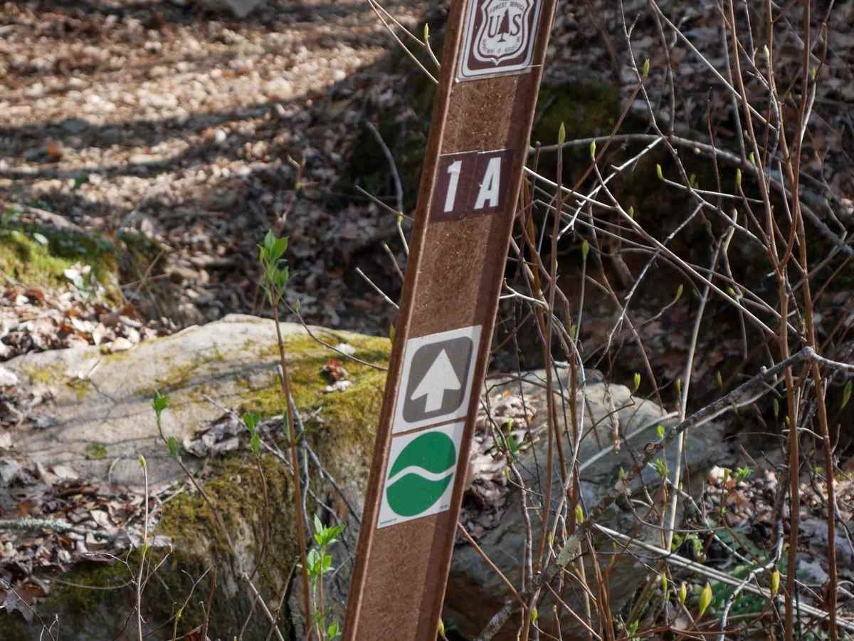 Upper Wayehutta Creek Trail 1A photo 6