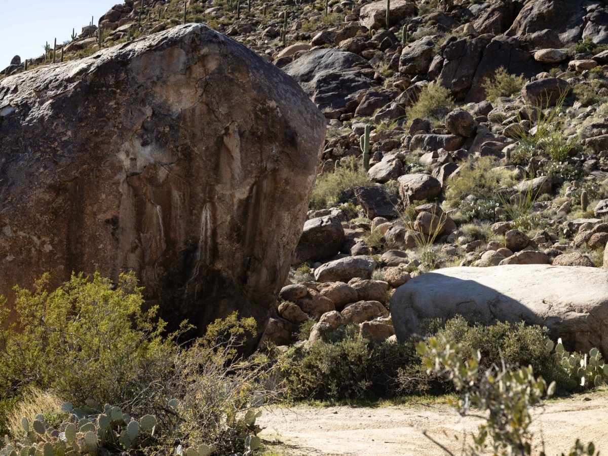Echo Wash photo 3