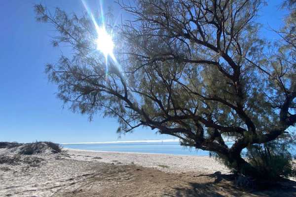 Mag Bay Loop