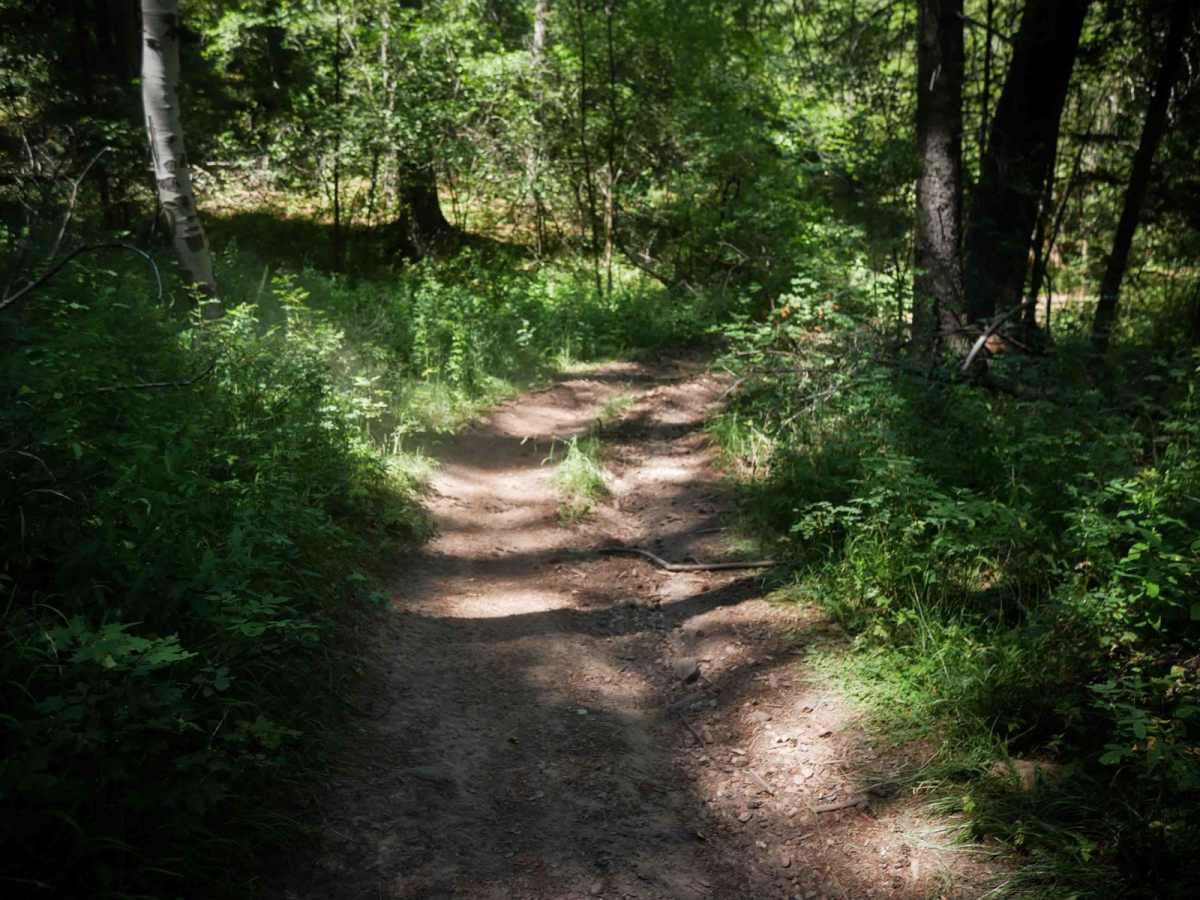 Slate Trail #3119  photo 5