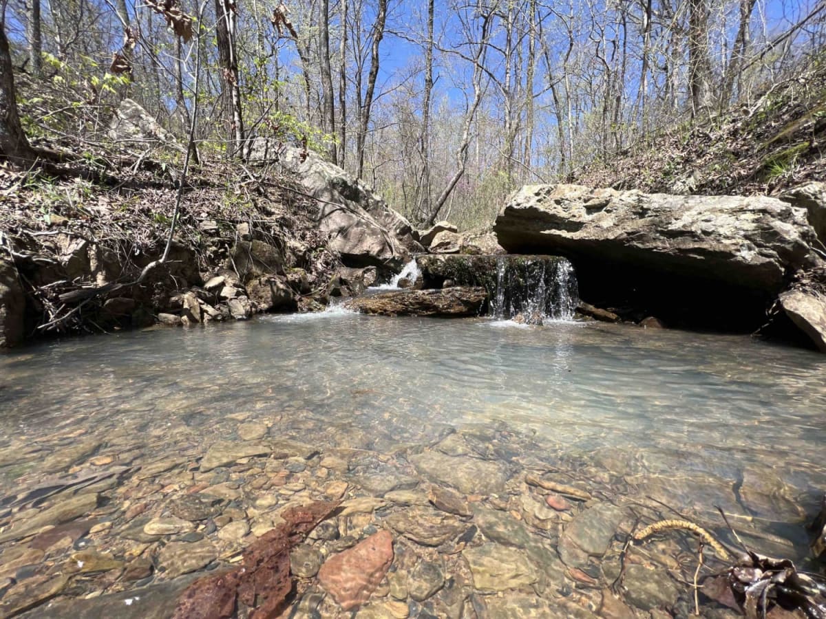 Fanes Creek 1520 trail photo