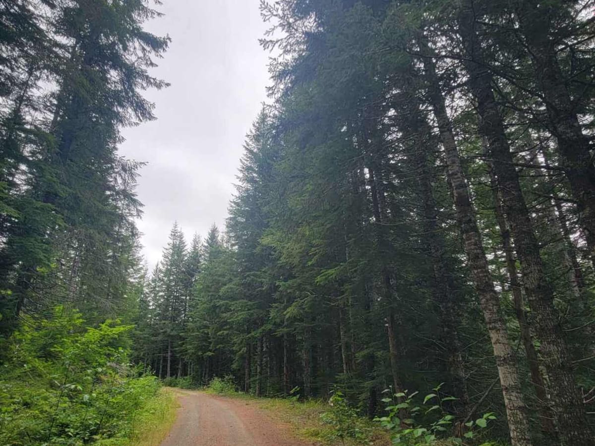 West Mesatchee trail photo