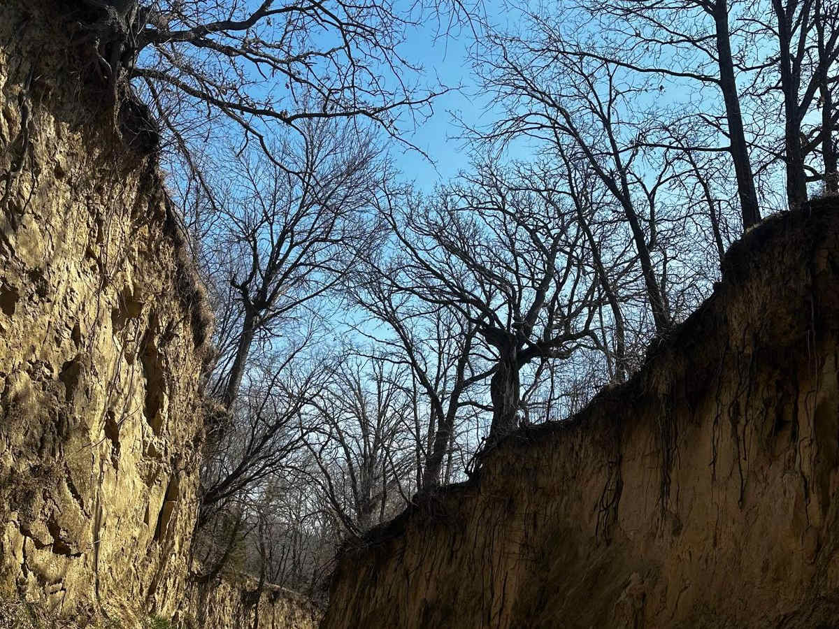 Waubonsie Creek Trail - Pathfield Road photo 4