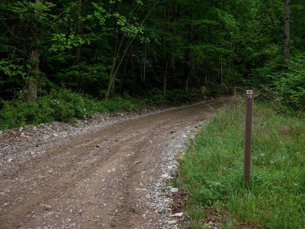 BM 15 trail photo