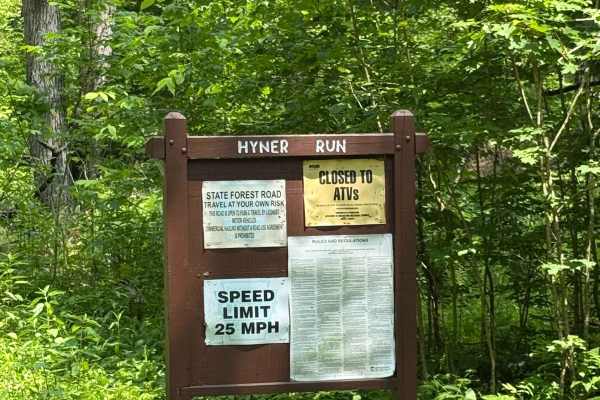 Hyner Run Road