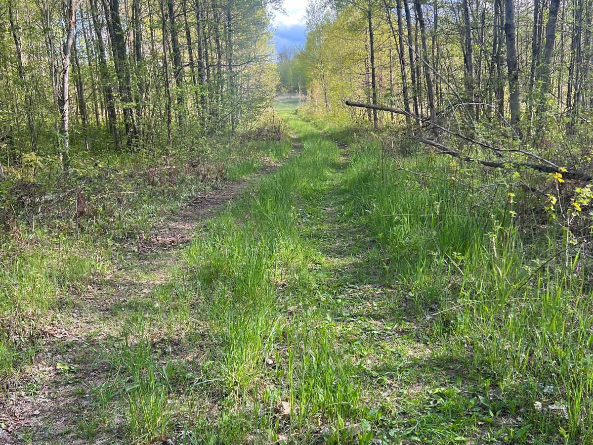 Bewilder Trail photo 5