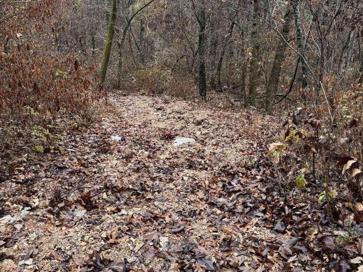 Yellow 83 trail photo